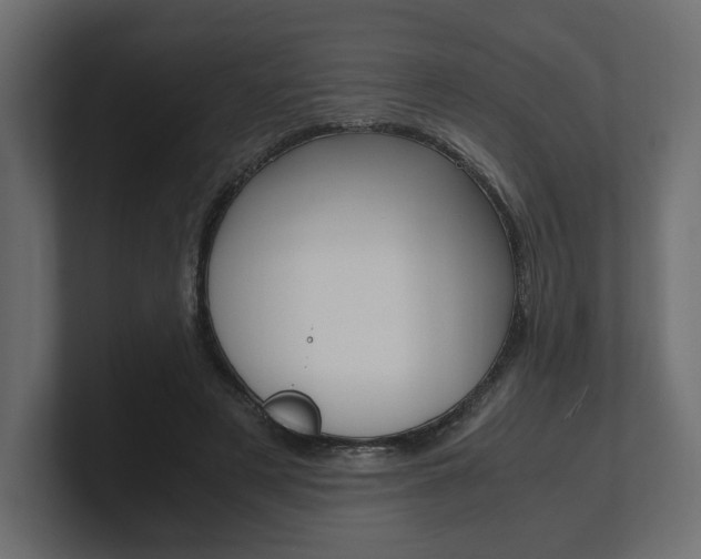 X0000101220497200806270928