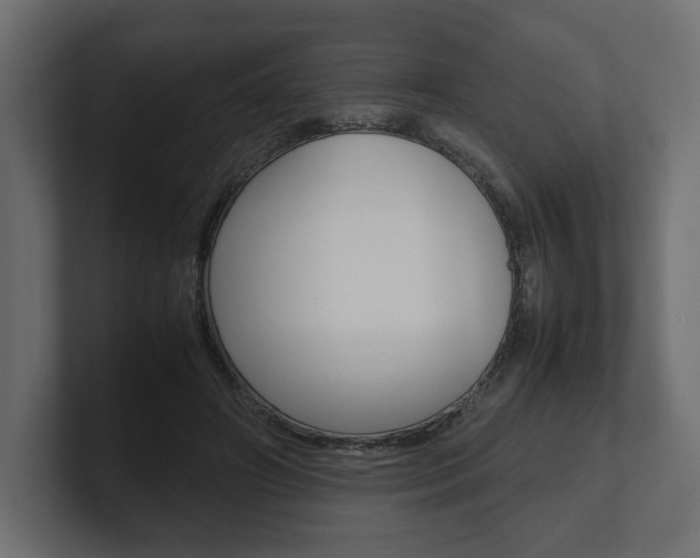X0000101220498200806270928