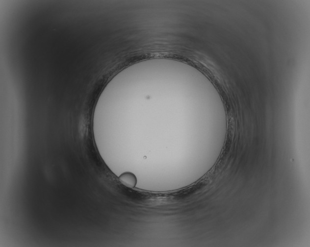 X0000101220499200806270928