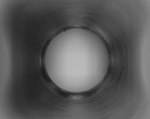 X0000101220500200806270928