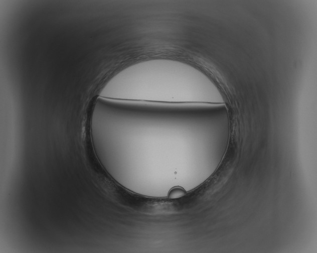 X0000101220501200806270928