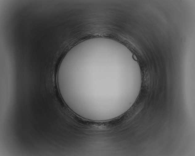 X0000101220502200806270928