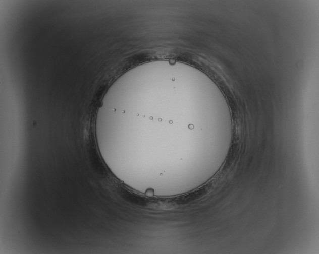 X0000101220503200806270927