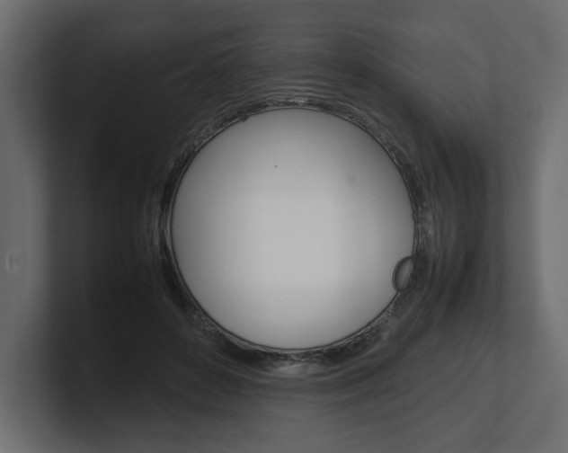X0000101220504200806270927