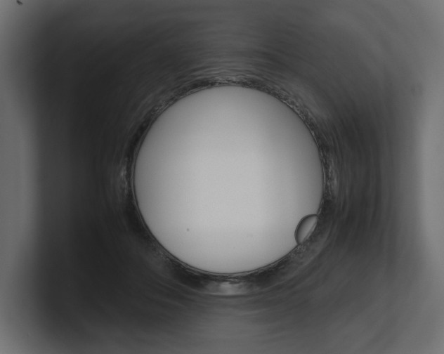 X0000101220506200806270927