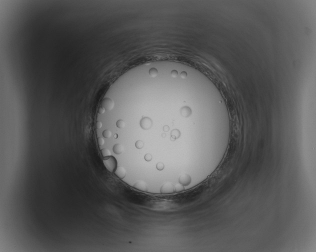 X0000101220507200806270927