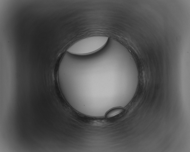 X0000101220508200806270927