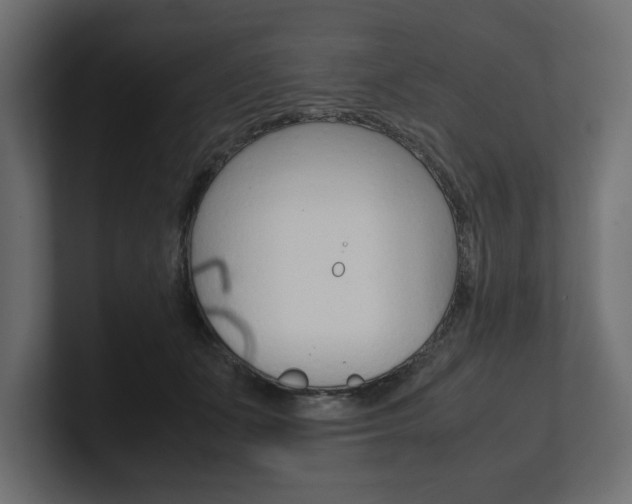 X0000101220511200806270927