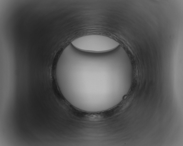 X0000101220512200806270927