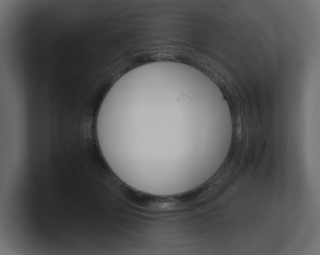 X0000101220514200806270927