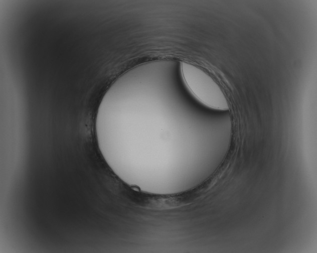X0000101220517200806270927