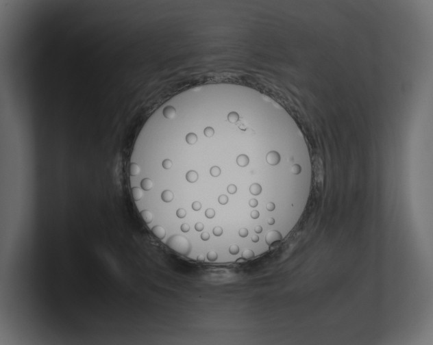 X0000101220519200806270927