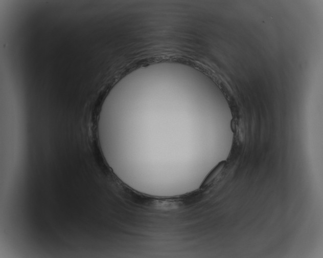 X0000101220520200806270927