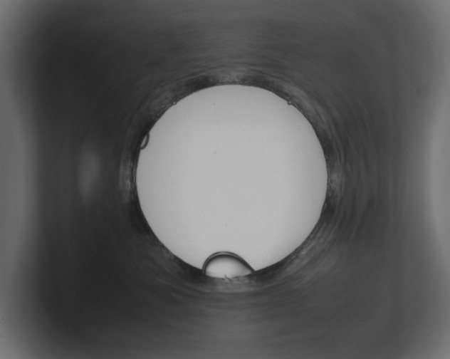 X0000101220525200806270927