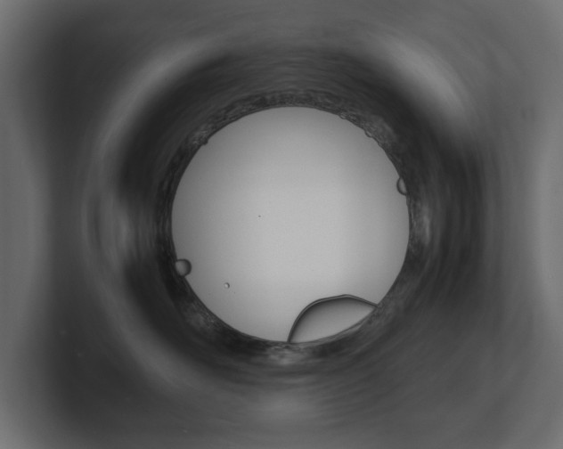 X0000101220526200806270927