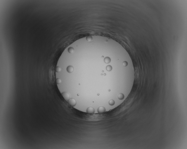 X0000101220527200806270927