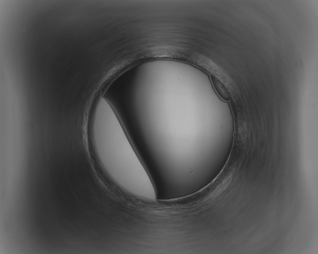 X0000101220530200806270926