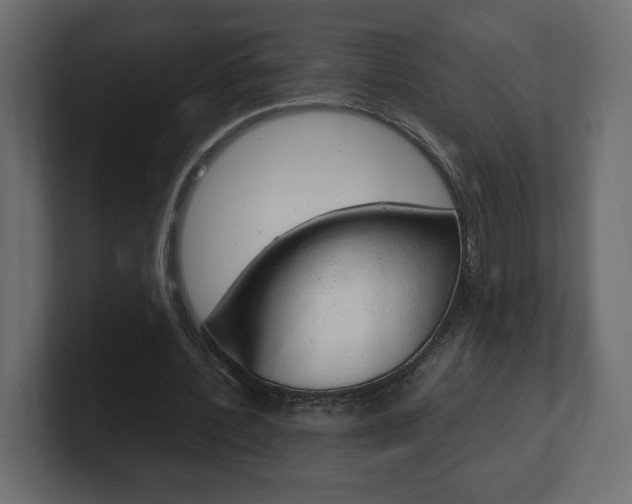 X0000101220532200806270926