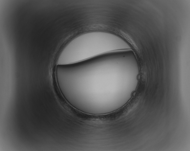 X0000101220538200806270926