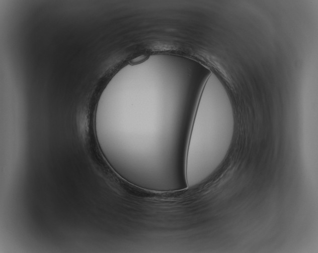 X0000101220539200806270926