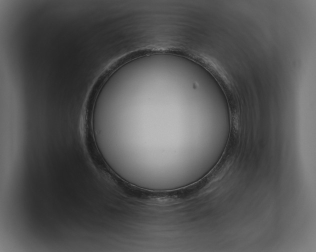 X0000101220540200806270927