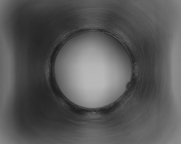 X0000101220544200806270927