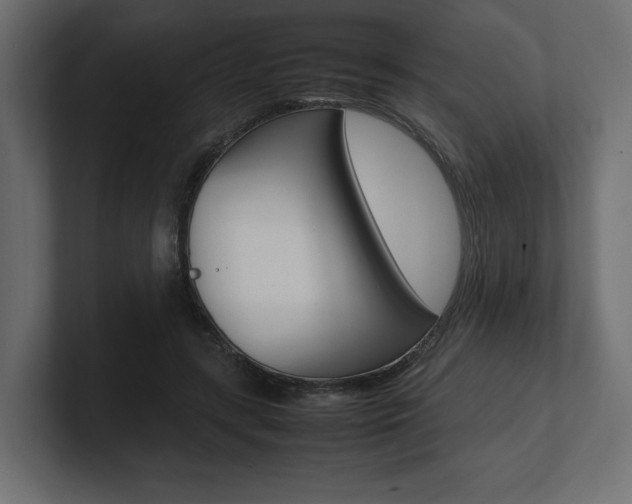 X0000101220547200806270927