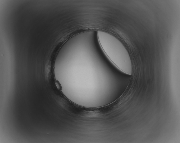 X0000101220548200806270927