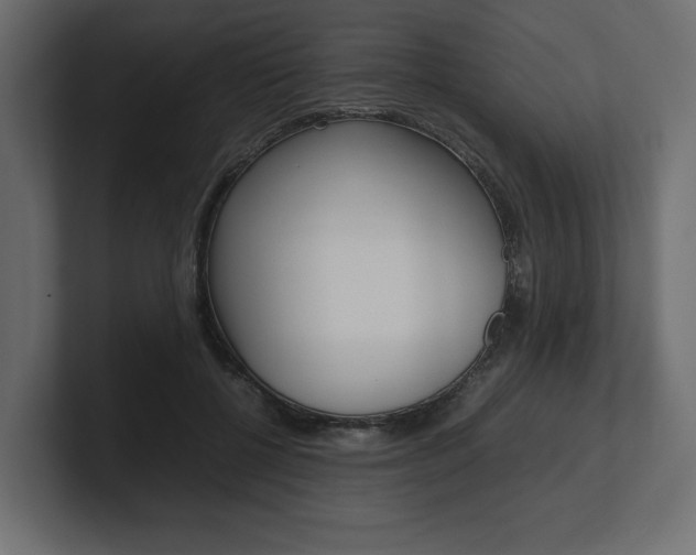 X0000101220552200806270927
