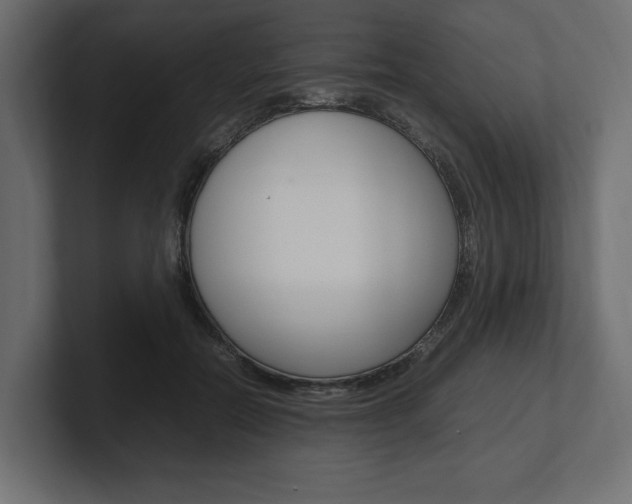 X0000101220554200806270927