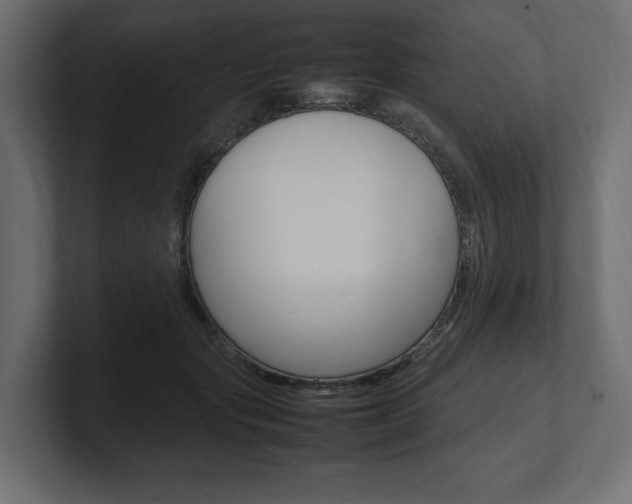 X0000101220557200806270927