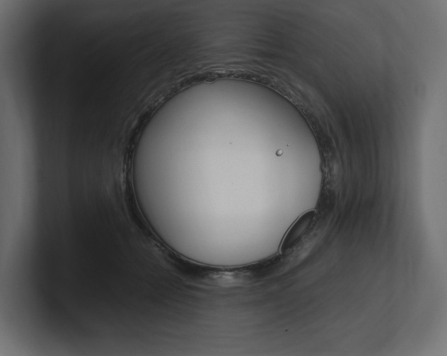 X0000101220558200806270927