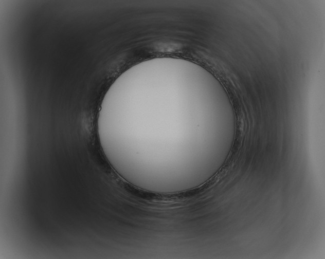 X0000101220559200806270927