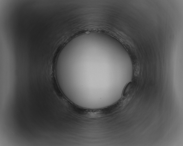 X0000101220560200806270927