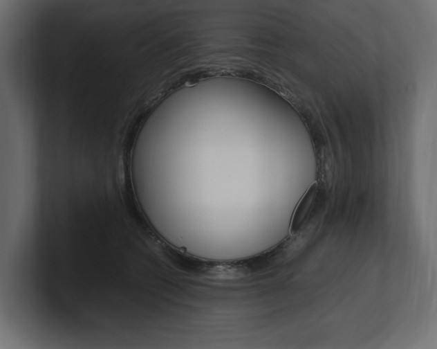 X0000101220562200806270927