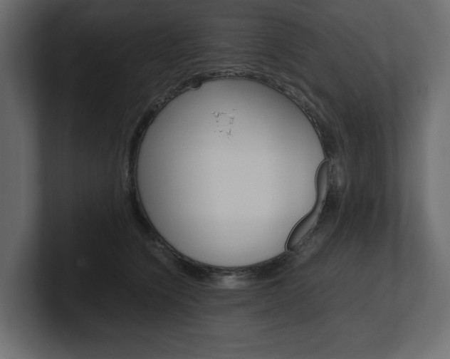 X0000101220564200806270927