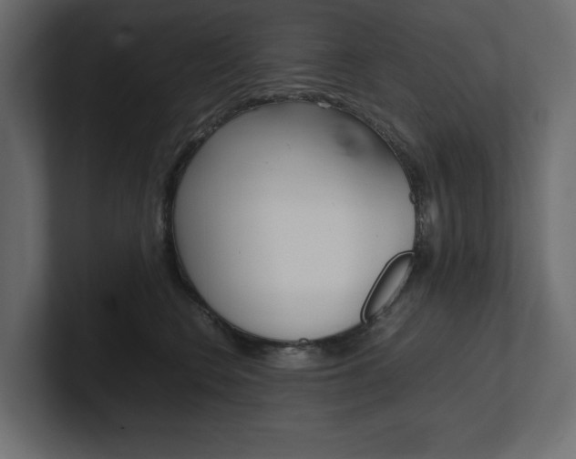 X0000101220566200806270927