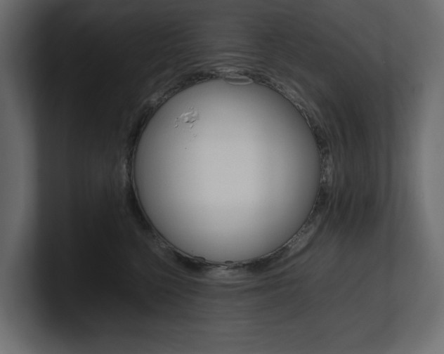 X0000101220568200806270927