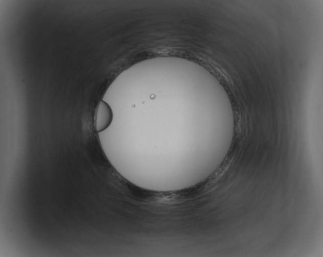 X0000101220569200806270927