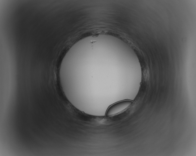 X0000101220570200806270927