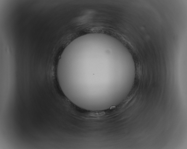 X0000101220571200806270927
