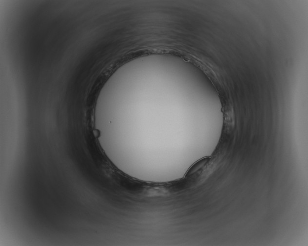 X0000101220572200806270927