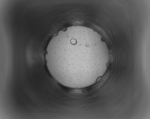 X0000101220573200806270927