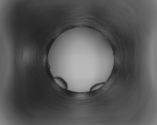 X0000101220574200806270927