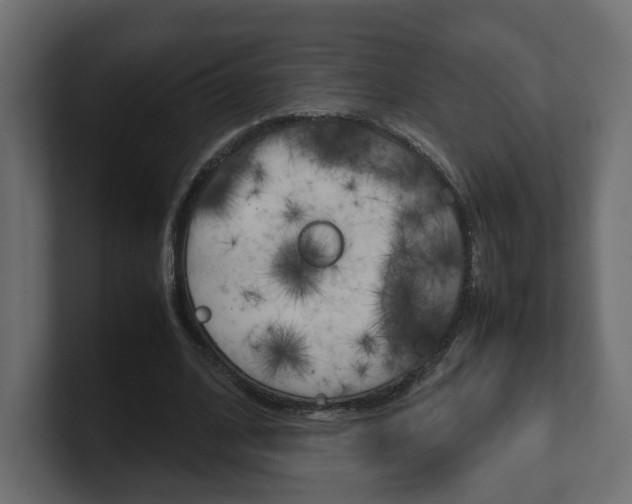 X0000101220584200806270926