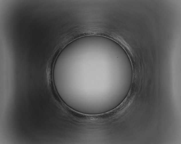 X0000101220585200806270926