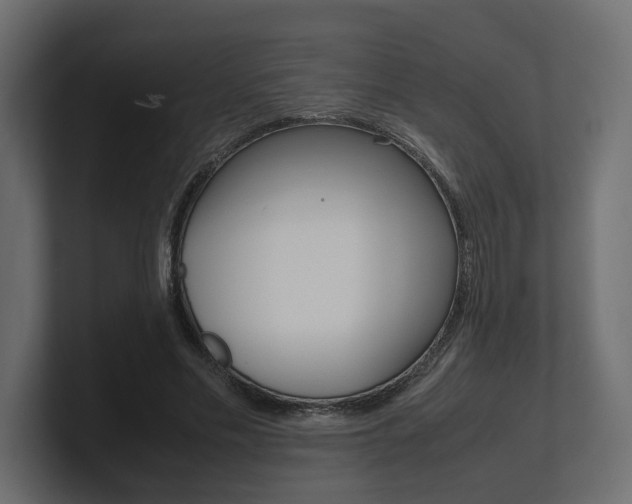 X0000101220589200806270926