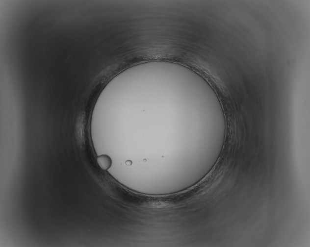 X0000101220590200806270926