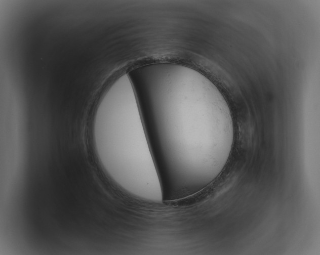 X0000101220592200806270926