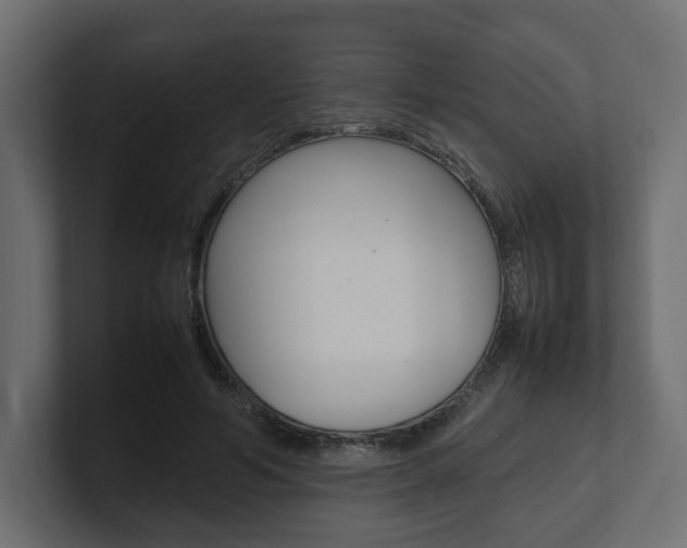 X0000101220594200806270926